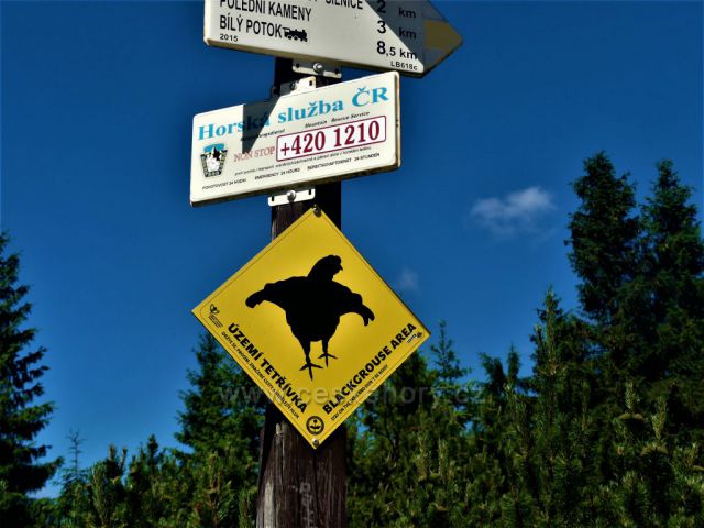 Paulova paseka, označení lokality výskytu chráněného Tetřívka obecného.