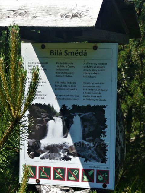 Panel Bílá Smědá na okraji jejího prameniště.