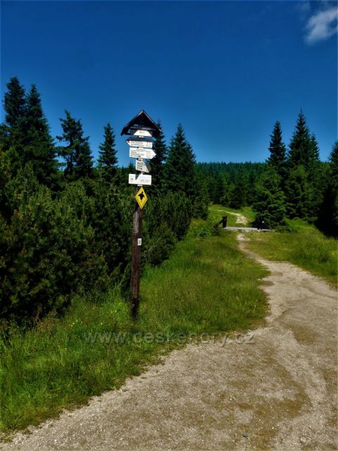 Stezka po žluté TZ k Poledním kamenům