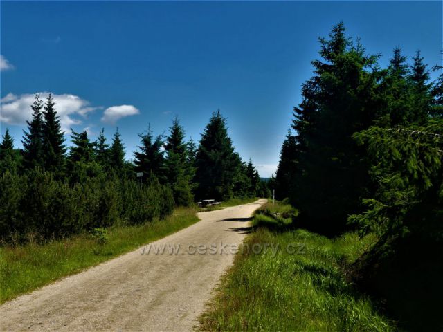 Rozcestí Paulova paseka.