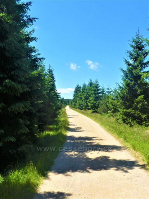 Štolpišská silnice od Paulovo paseky k rozcestí Pod Jizerou