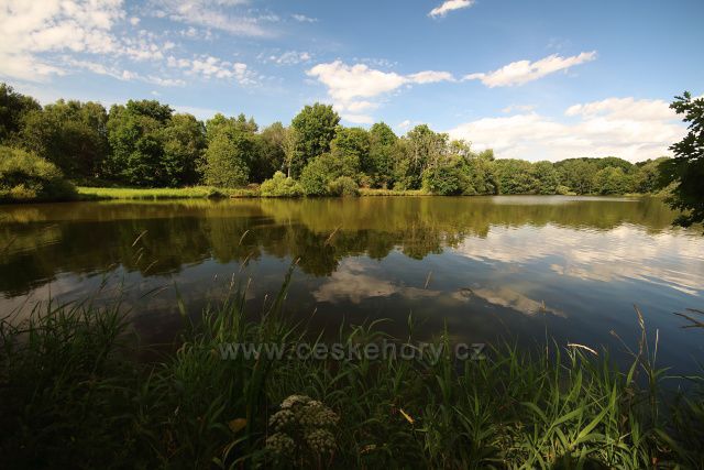 Rajchéřovský rybník