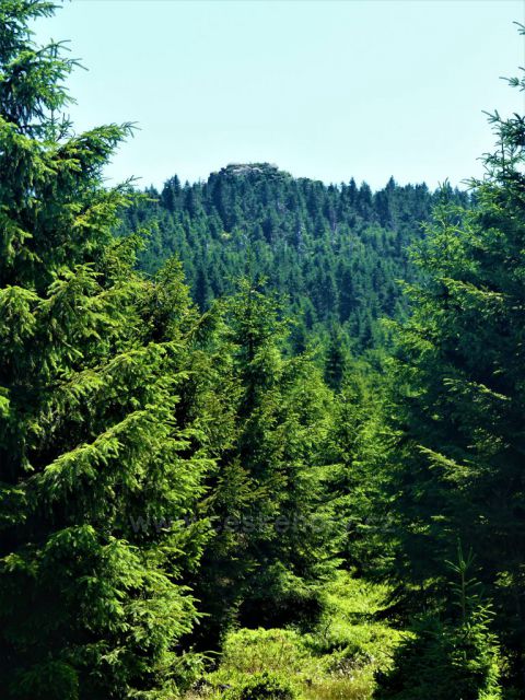 Vrchol Jizery 1122 m.n.m.