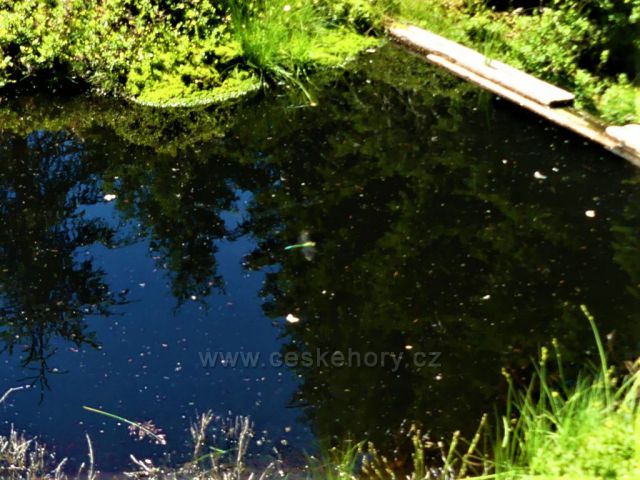 Bílá Smědava - hlavní zdrojnice