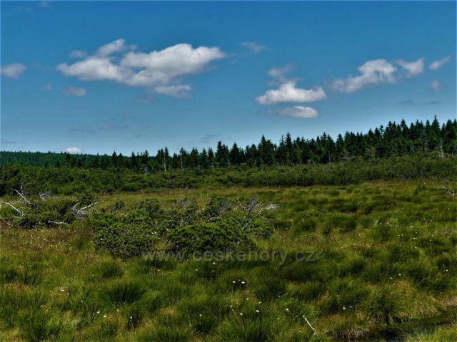 PR Klečové louky.