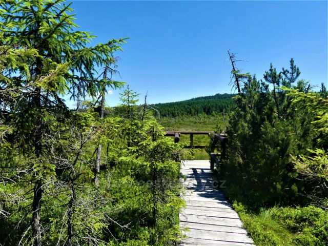 Výhledová plošina v PR Klečové louky.