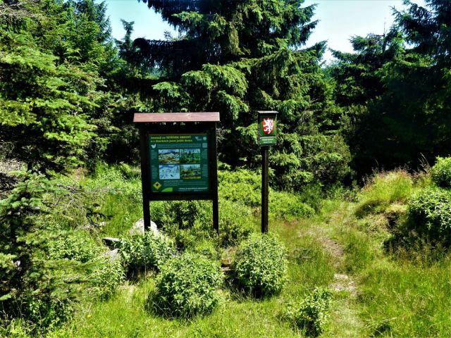 Ochranářský panel tetřívka obecného na okraji PR Klečové louky