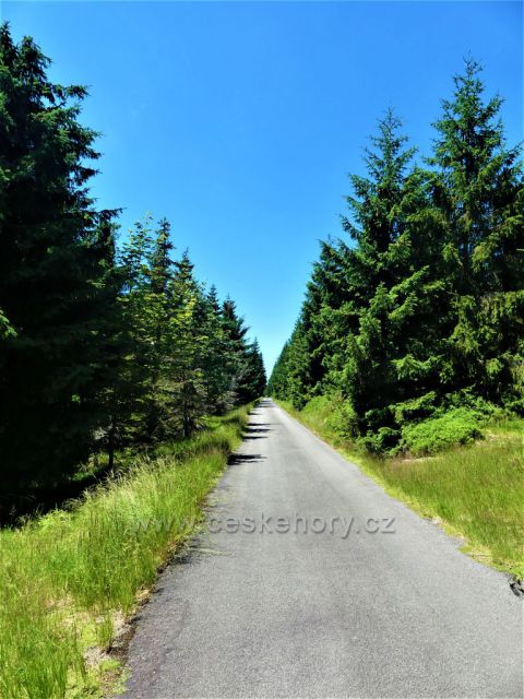 Kasárenská silnice