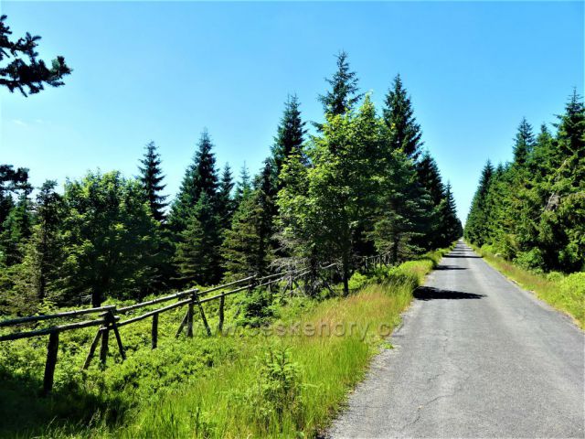 Oplocenka podél kasárenské silnice