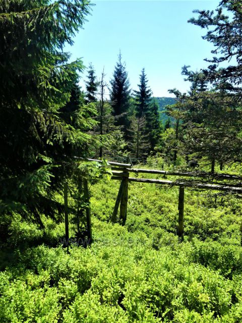 Oplocenka pod Kasárenskou silnicí