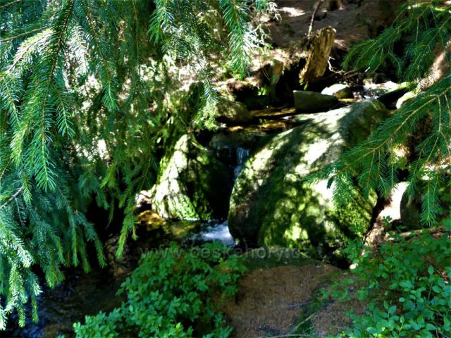 Horní tok jednoho z přítoků Bílé Desné