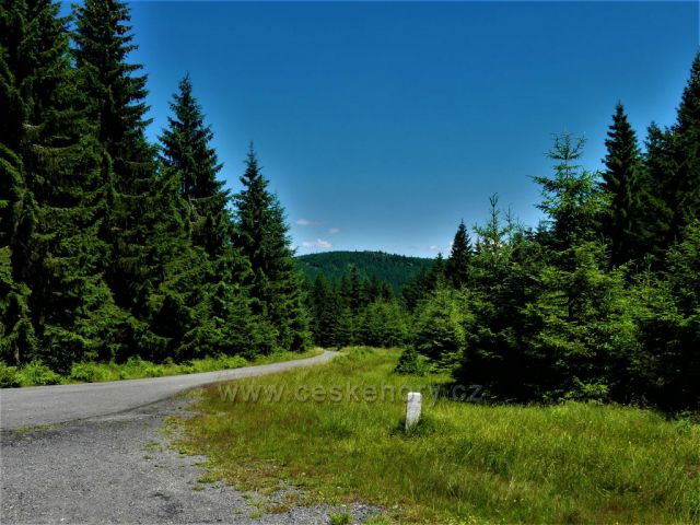 Rozcestí pod Zeleným vrchem, napojení na trasu po zelené TZ.