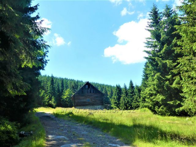 Kůrovcová cesta po níž jde zelená TZ prochází lokalitou Na Kůrovci.