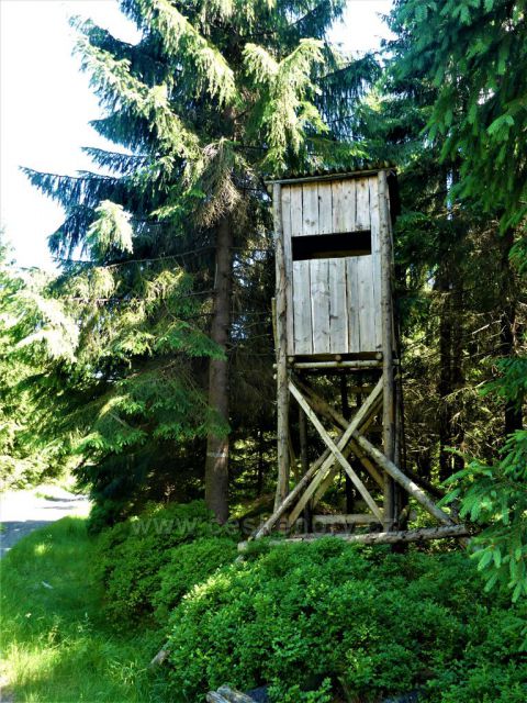 Posed u Kůrovcové cesty.