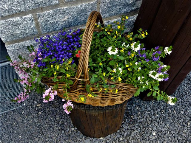 Květinová výzdoba před vchodem do Restaurace Smědava.