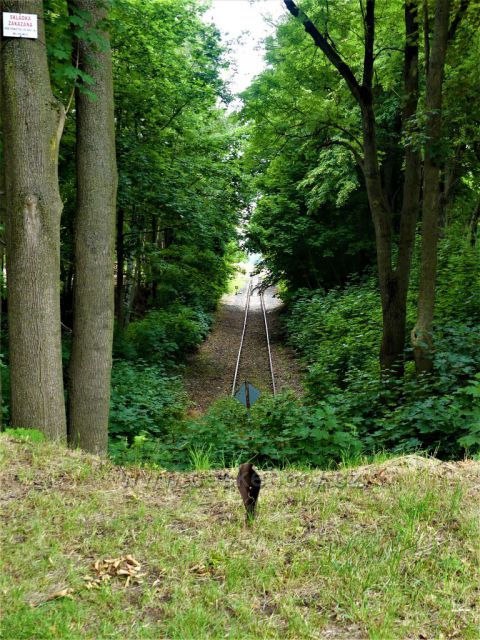 Bílý Potek - tady končí železniční trať.