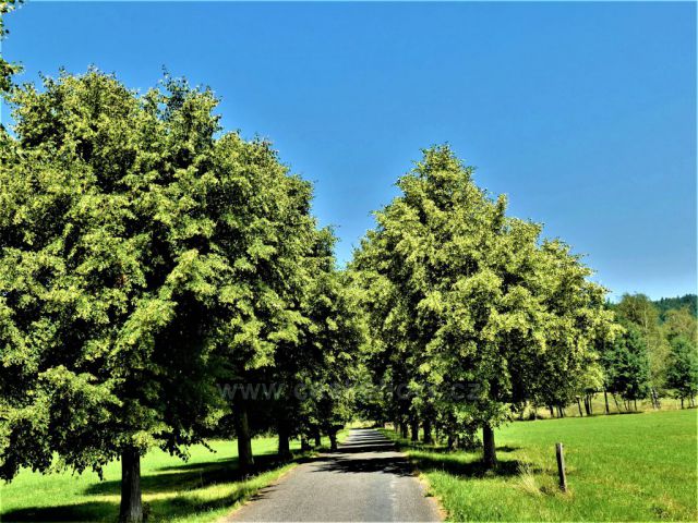 Hejnice - Silnička ke hřbitovu.