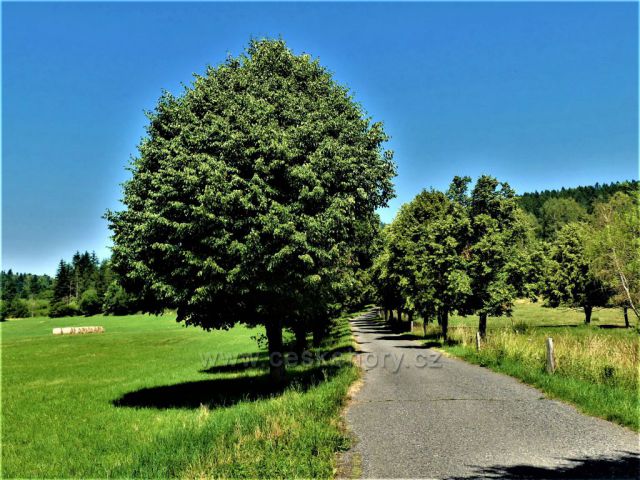 Hejnice - silnička ke hřbitovu.