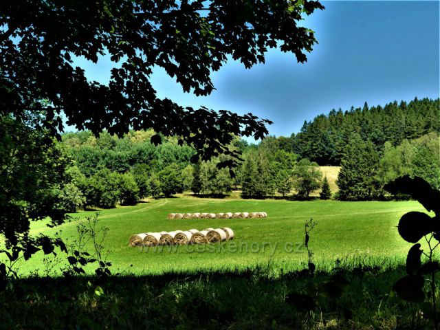 Jizerské hory - Pastviny pod Hejnickým hřebenem.