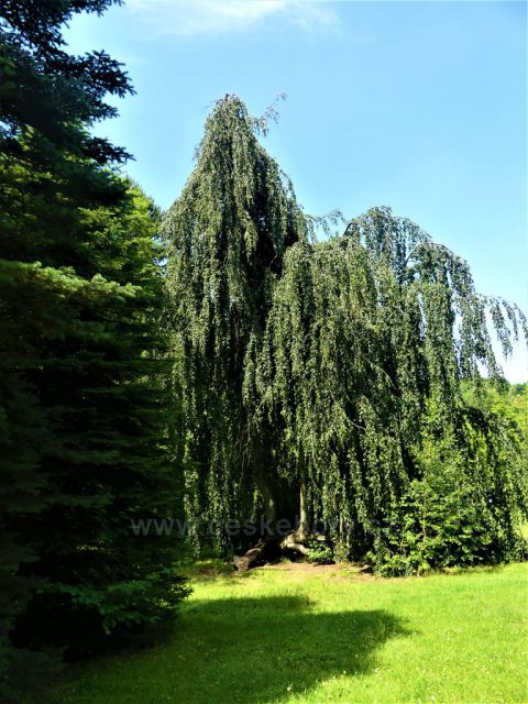 Lázně Libverda - Lázeňský park.