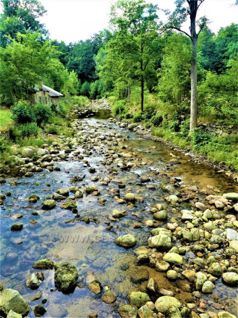 Bílý Potok - Kamenité řečiště Smědé.