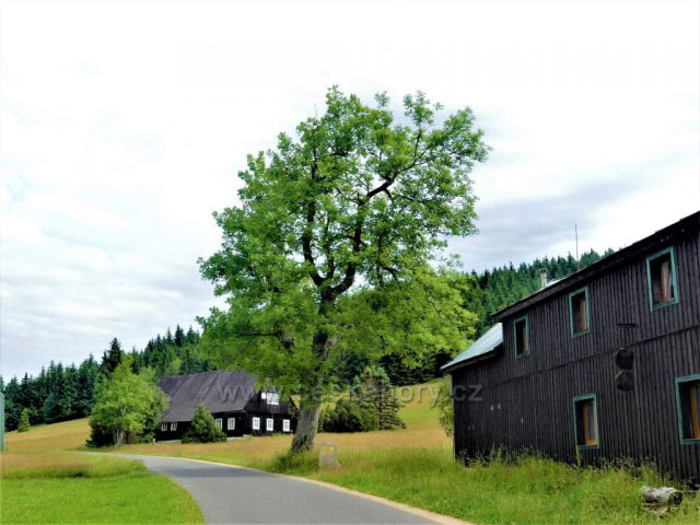 Jizerské hory - Chalupa pod Bukovcem.