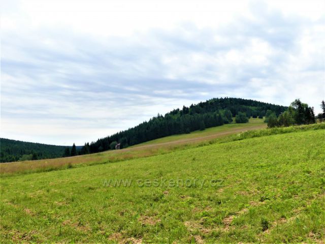 Jizerské hory - Bukovec 1005 m.n.n.