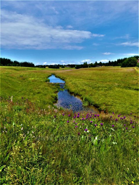 Jizerské hory - Jizerka, potok Jizerka.