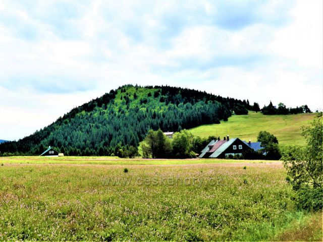 Jizerské hory - Jizerka, rdesno pod Bukovcem.