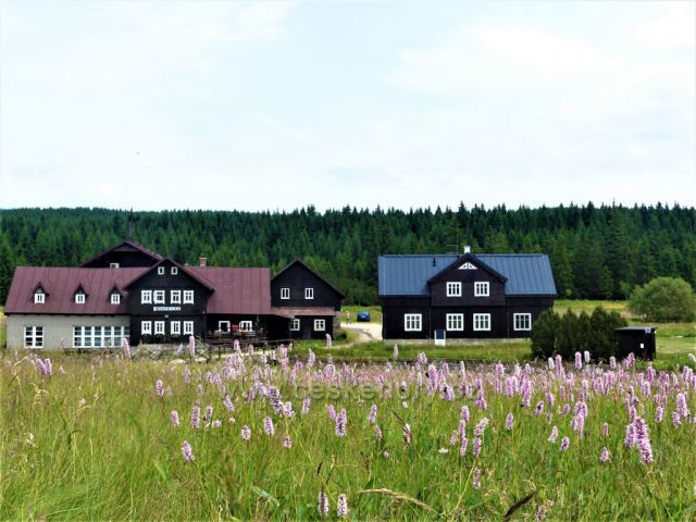 Jizerské hory Jizerka, pohled k chatě Stará Pila.