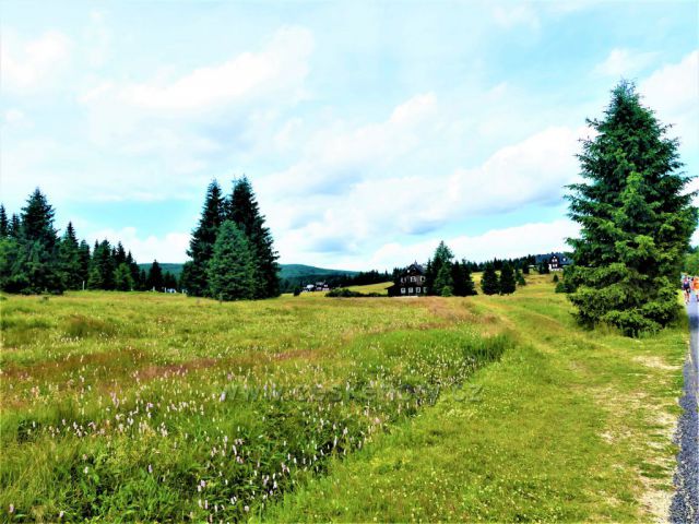 Jizerské hory - Jizerka