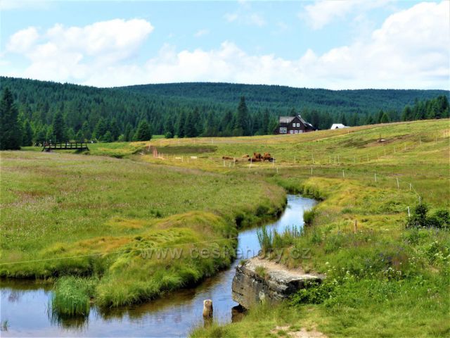 Jizerské hory - Jizerka, potok.