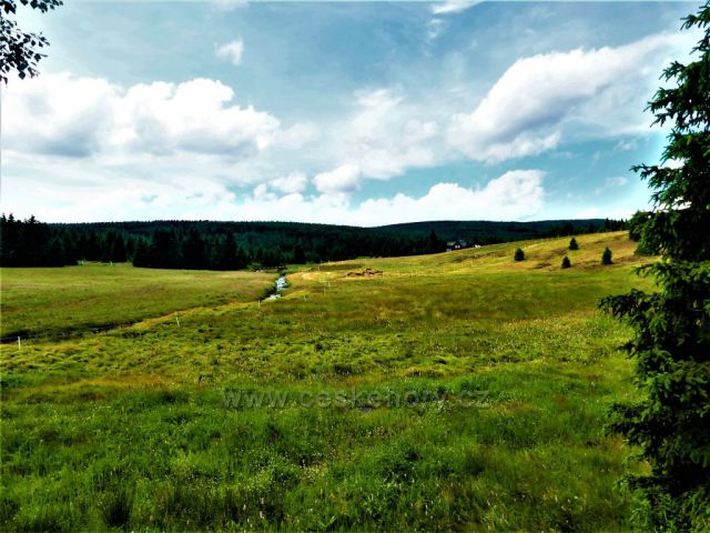 Jizerské hory - louky na Jizerce.