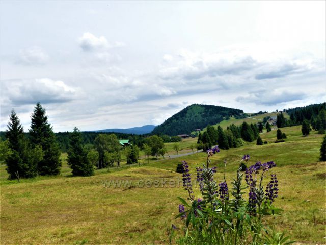 Jizerské hory - údolí Jizerky