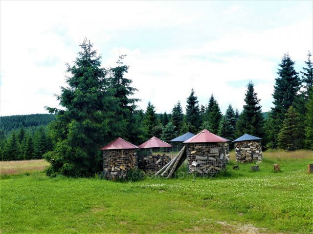 Jizerské hory - Jizerka, uskladnění dřeva u chaty Pešákovna