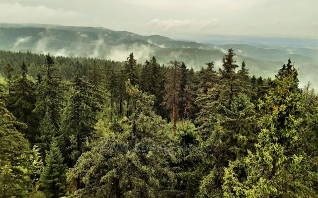 Výhledy v dešti na
rozhledně Pajndl na Tisovském vrchu