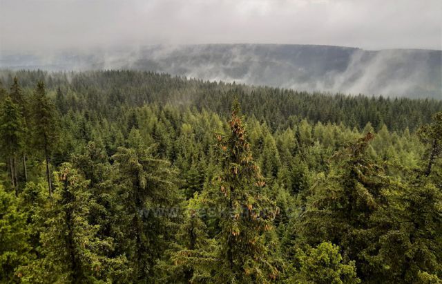 Výhledy v dešti na
rozhledně Pajndl na Tisovském vrchu