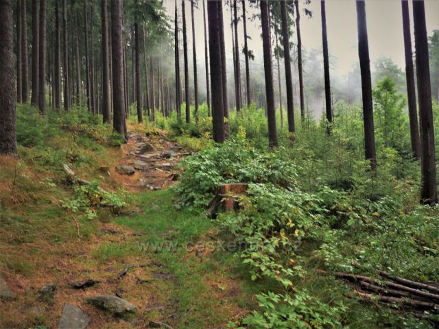 Cesta na Tisovský vrch