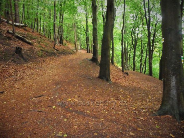 Cesta z Tisovského vrchu 
do Nejdku