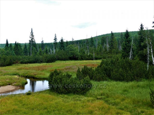 Jizerské hory - NPR Rašeliniště Jizerky