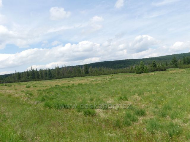 Jizerské hory . Malá Jizerská louka