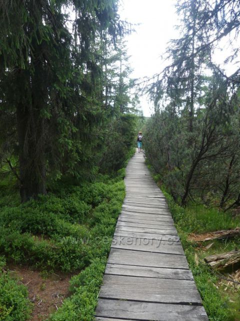 Jizerské hory - Chodník k rozhledovému místu Rašeliniště Jizerky.