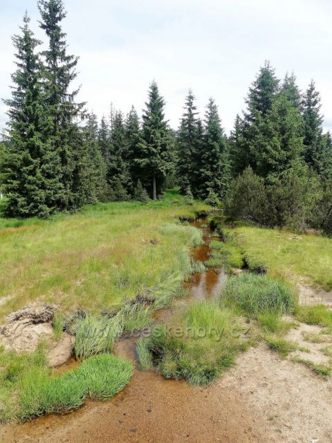 Jizerské hory - Jizerka před  Borkovištěm.