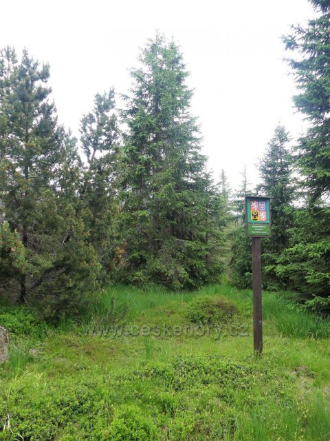 Jizerské hory - NPR Rašeliniště Jizerky.