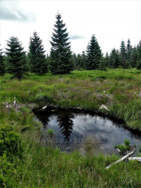 Jizerské hory - Rašeliniště Jizerky