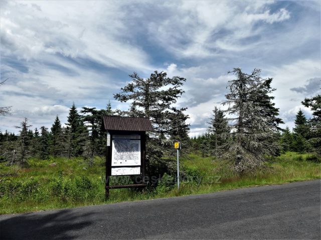 Jizerské hory - Lesní porost podél Jizerské silnice Informační panel poblíž Promenády.