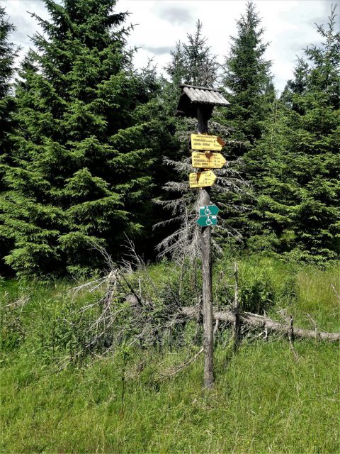 Jizerské hory - Turistický rozcestník Jizerské magidtrály