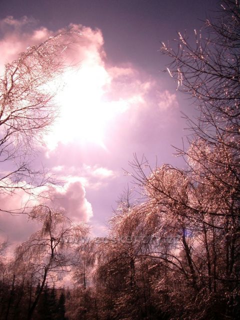 Hora sv.Šebestiána a blízké okolí