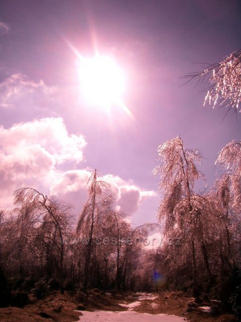 Hora sv.Šebestiána a blízké okolí