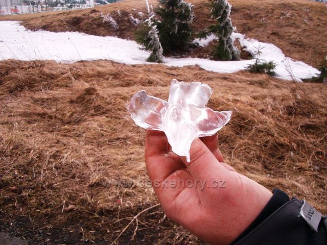 ledový pták z Hory sv.Šebestiána